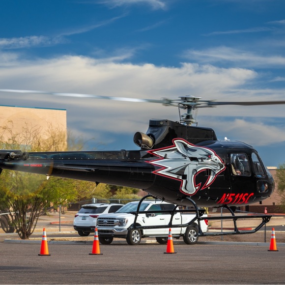 Meet your Posher, Jd - Picture 5 of 6